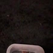 Pandorasg Poop On Poop