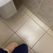 Mistresschristina Do You Want Me To Call You Every Time My Ass Stinks And Is Full Of Shit