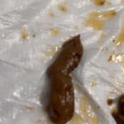 Iamkapri My First Enema Shit Explosion Kapri Styles