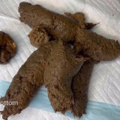 Brooklynbb13 My Favorite Poops Compilation Brooklyn Bailey