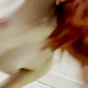 Freckledred Plate Poop