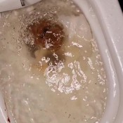 Kittyskatt Two Huge Toilet Clogging Logs Sexy Angle Kitty Klitt