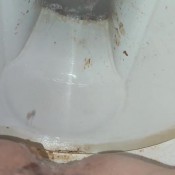 Kittyskatt Food Poisoning Multi Runs Kitty Klitt