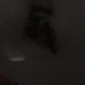 Deep_impact Toilet Pee