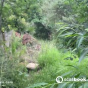 Appletinyteen My First Panty Poop Outside