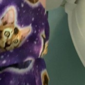 Yourfavoritefartgirl Ooooo Das Delicious 18