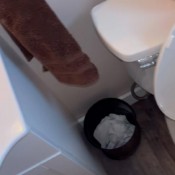 Deep_impact Turkey And Stuffing