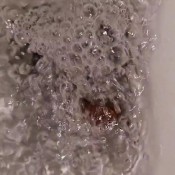 Kittyskatt Four Unflushable Logs Kitty Klitt