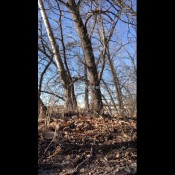 Lucypuddles - Nature Walk