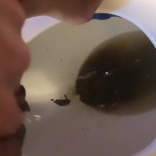 Squirtle A Fave Toilet Play