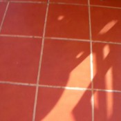 Joy Angeles Newmodel2