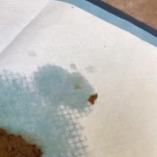 Xshayxshayx - Desperate Morning Poop And Cum