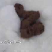 Joy Angeles February2010malaga2