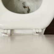 Realsnotty A Quickie -