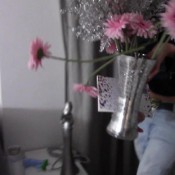 Onlyevamarie Buttcrack Farts Interier Designer Evamarie88