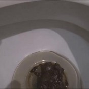 Marysweeeet David172 Stood Still Uncutt