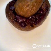 Pulsiferpaprocki Tri-colored Shit Spiral Pulsifer Paprocki