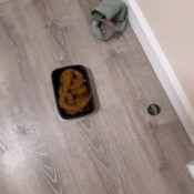 4 Day Hold Samantha Deep_impact