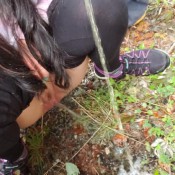 Crossing Our Streams On The Side Of The Road Nerdy Faery