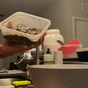 Whey2muchpoo Putting My Fresh Warm Shit In My Famous Baking Mix Lexa Stahl