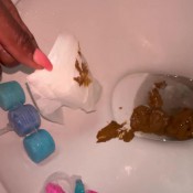 Ebenus Bonne Ann E 2025