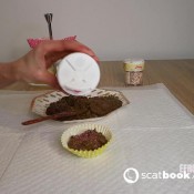 Elladearest Diarrhea Delight Cupcakes Ella Dearest