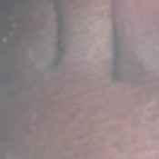 Nicolette Bloom Smell My Feet And Give Me Your Money NicoletteBloom