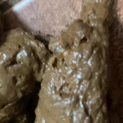 Xajsplashx You Like My Dumps Dont You