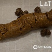 Latsuna The Perfect Log Lady Tsunami