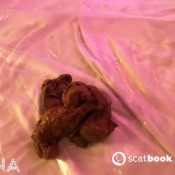 Latsuna Thick And Gaped Lady Tsunami