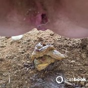 Frankiequinn Pee And Is That The Perfect Oopsie Poop Or What