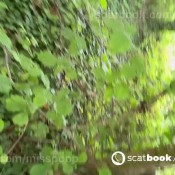 Misspoop A Bitch Always Leaves Her Mark