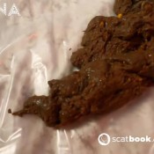 Latsuna Unplugging And Unloading A Massive Steamy Shit On The Floor. Lady Tsunami