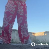 Yourfantasy6190 Roadtrip Outside Pee Compilation