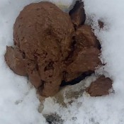 Goddessnixie123 Taking A Shit In The Snow Next To My Neighbors Shed Goddess Nixie