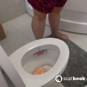 yourfantasy6190 pooping in toilet 57