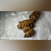 Brownsensation8 Compilation Of Toilet Shits Brownsensations