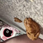 Fetishqgirl Morning Poop