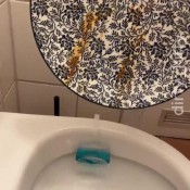 Beautiful Plate Was Shitted Dirty_kitty