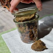 Kitty Skatt Overfilling The Jar Kitty Klitt