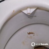 Kittyskatt Gassy Bloated Mega Log In Indian Ashram Kitty Klitt