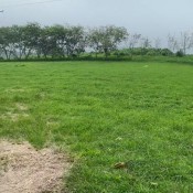 Elle Clark Big Load In Panty