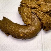 1 Pound Desperate Madness Pulsiferpaprocki Pulsifer Paprocki