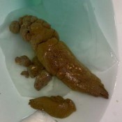 Reignzplayhouse Thick Long Turd This Shit Was So Big And Long It All Came Out In One Turd I Had Sausage And Pepperoni Pizza Last Night And Let Me Tell You It Felt Good Coming Out Goddess Reign