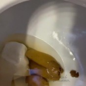 Imscatbitch_ Creamy Morning Poop