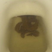 Gassylaszy Good Soup