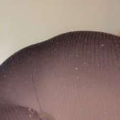 Franciafart Get Ready To Sniff All My Farts