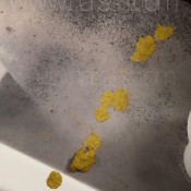 Nasty_narsss Bathroom Scat Party Msnars