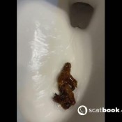 Iamkapri I Hate Big Shit That Doesnt Flush Kapri Styles