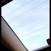 Gassytaylor Enjoy My Farts In The Car